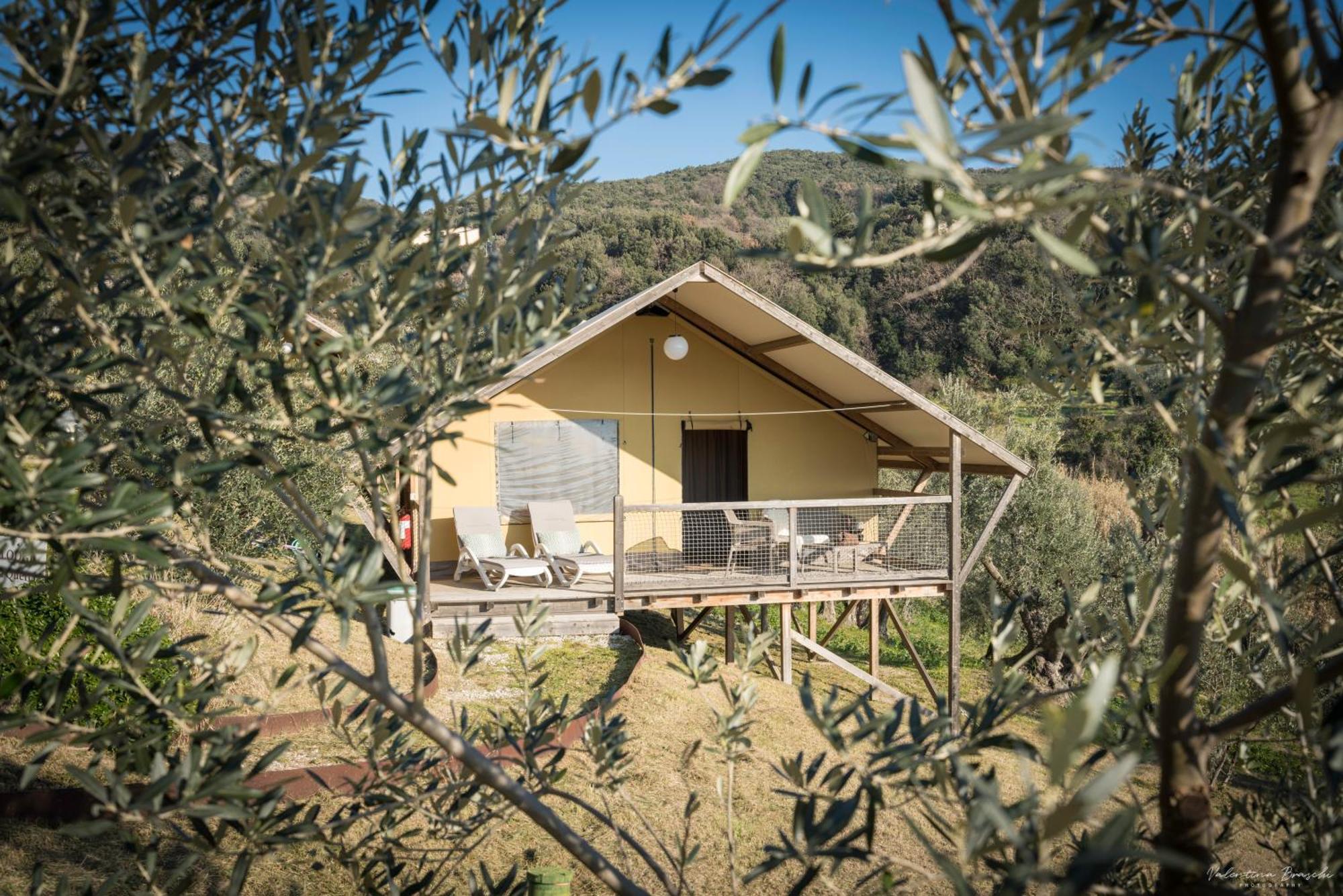 Podere Cortesi Agriturismo Molinaccio Santa Luce Dış mekan fotoğraf