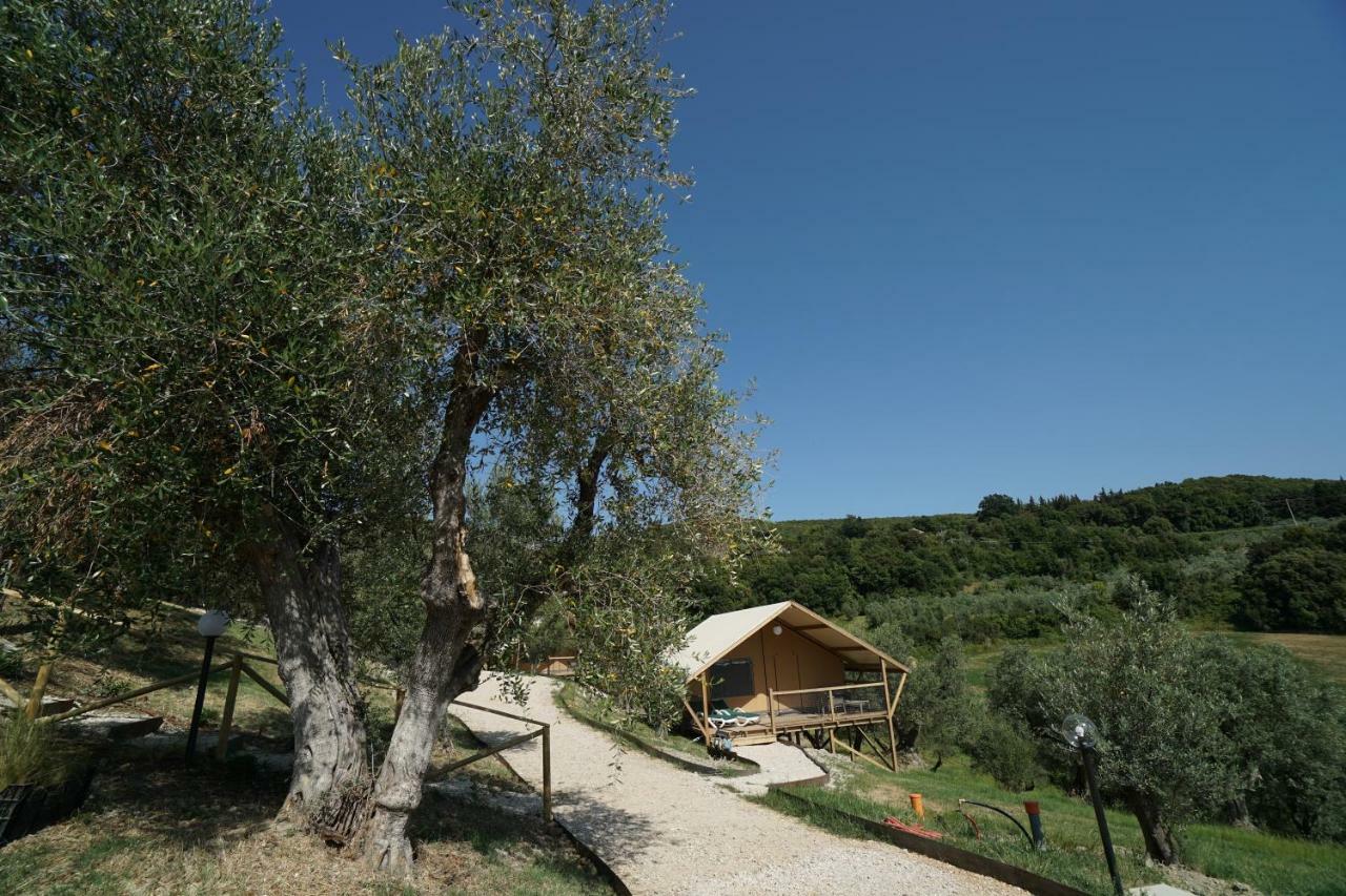 Podere Cortesi Agriturismo Molinaccio Santa Luce Dış mekan fotoğraf